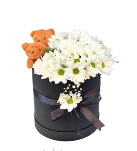 kutuaranjman lükskutu konyaçiçekçi