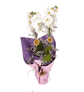Konya çiçekçi Çiçekçi Arzum beyaz orkide orkide aranjmanı