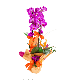 Konya çiçekçi Selçuklu çiçekçi Karatay çiçekçi Meram çiçekçi