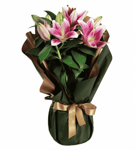 pembe lilyum lilyum aranjmanı Konya lilyum siparişi Selçuklu